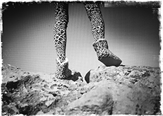 leopard feet on coastline
